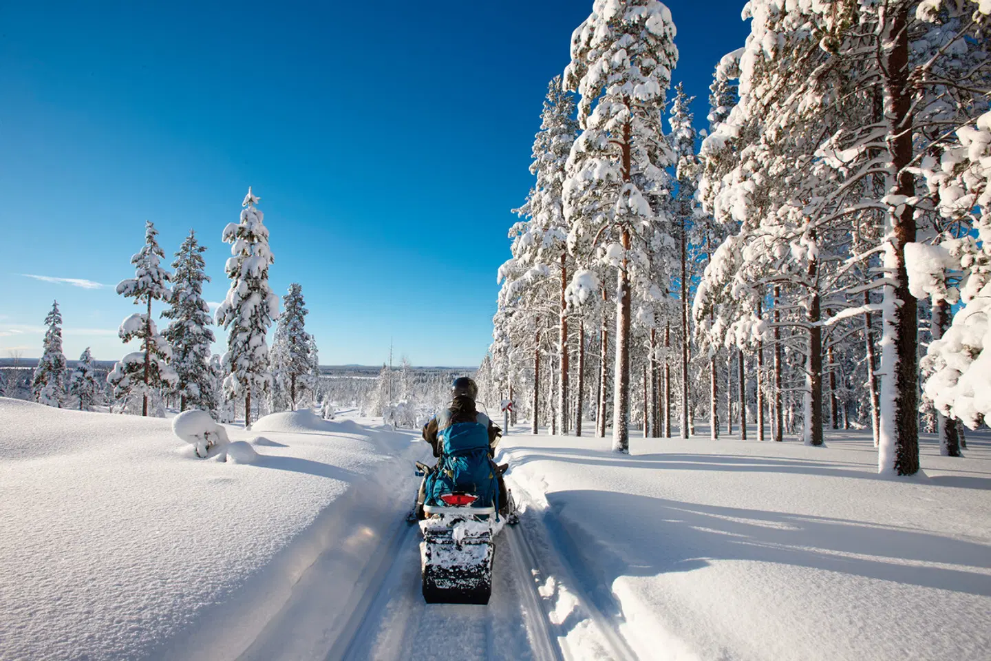 Finnische Winterwoche in der Arktis LANDSCAPE