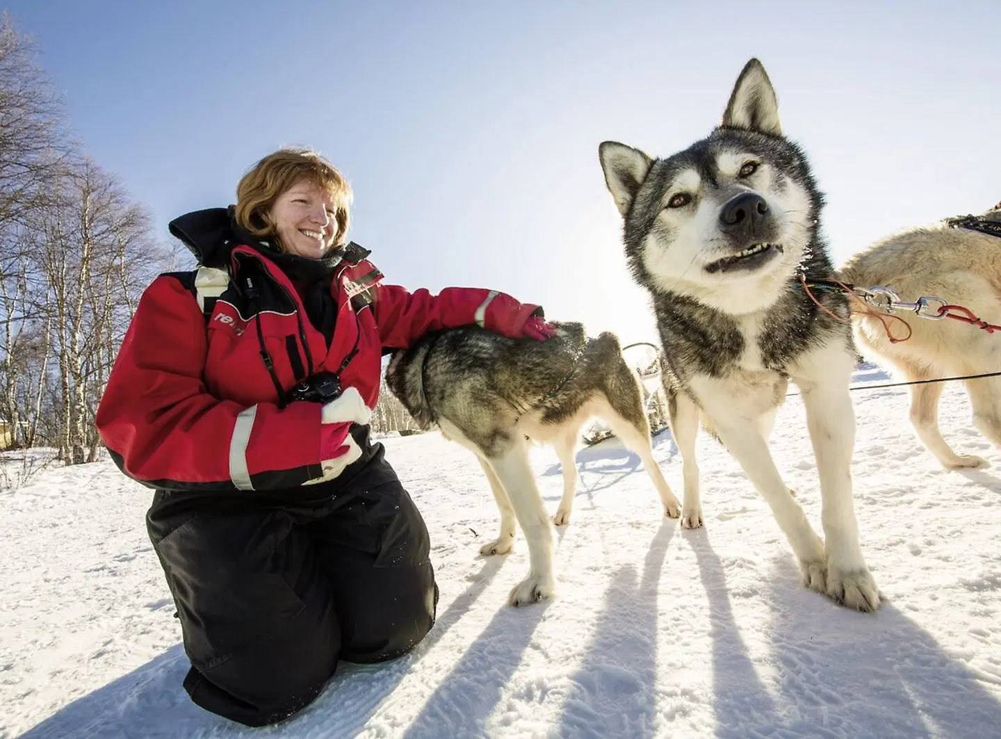 Finnische Winterwoche in der Arktis Tiere