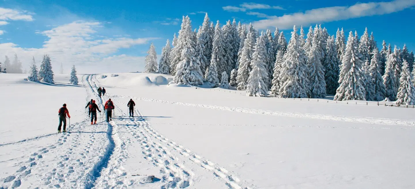 Finnische Winterwoche in der Arktis LANDSCAPE