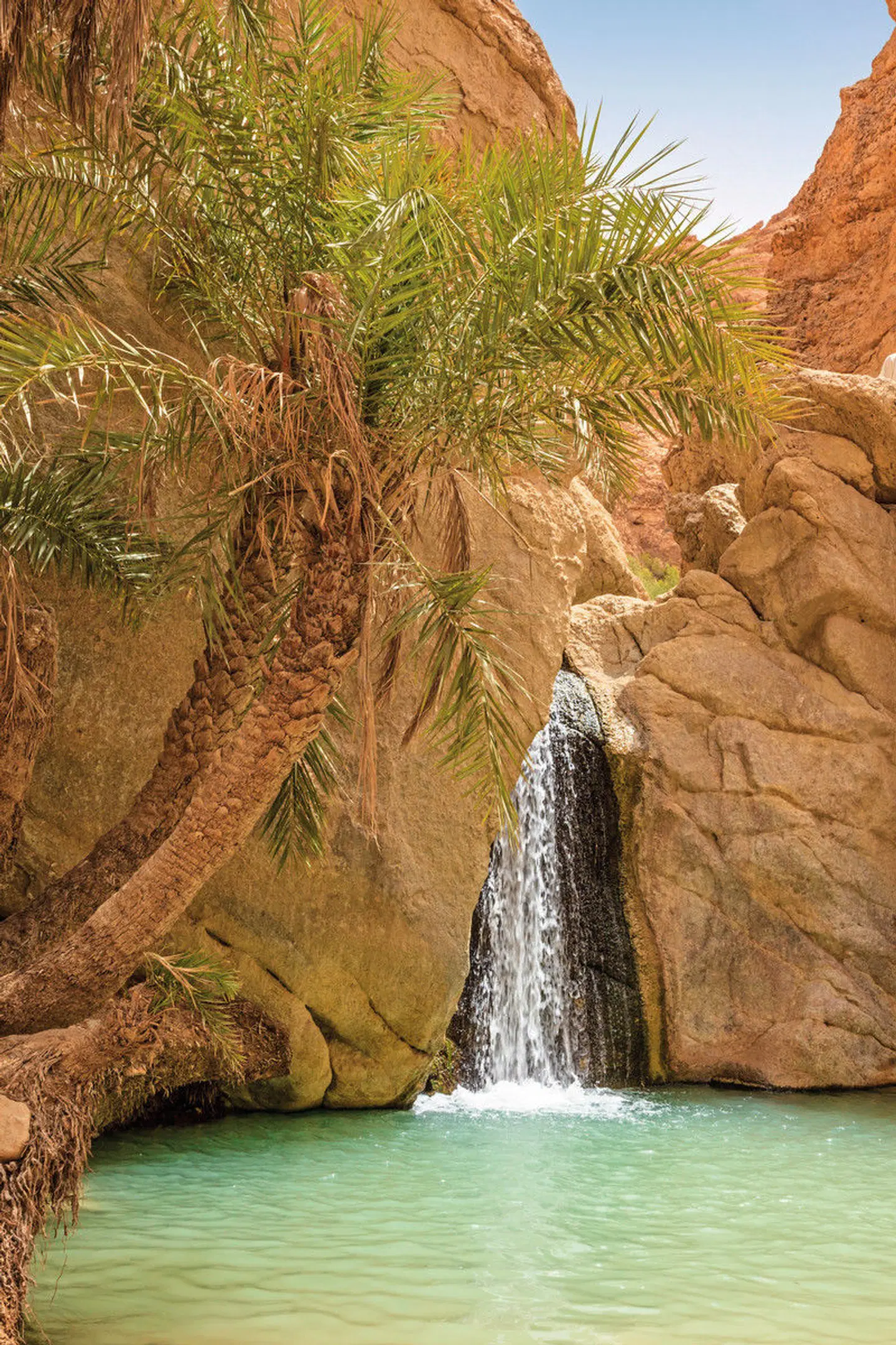 Kulturschätze und Wüstensonne - Tunesiens Paradies Tiere