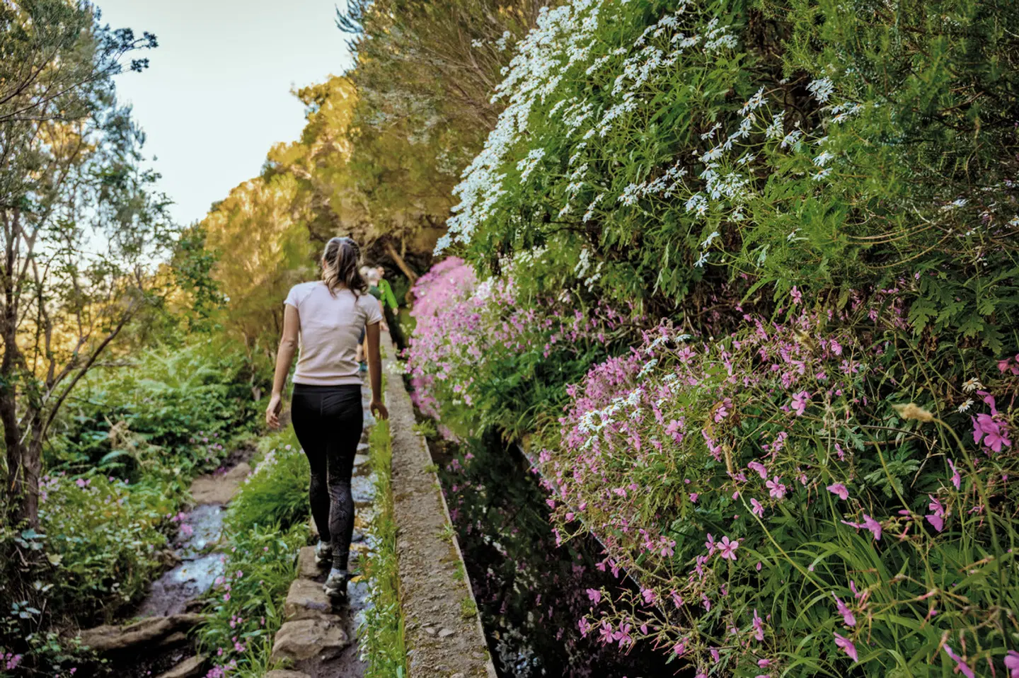 Madeira individuell - von Quinta zu Quinta LANDSCAPE