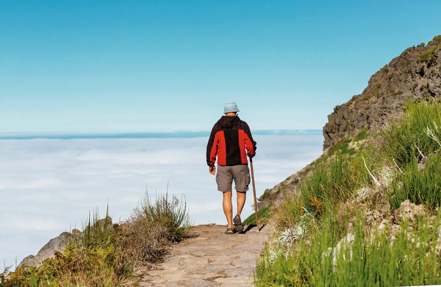 Madeira individuell - von Quinta zu Quinta LANDSCAPE