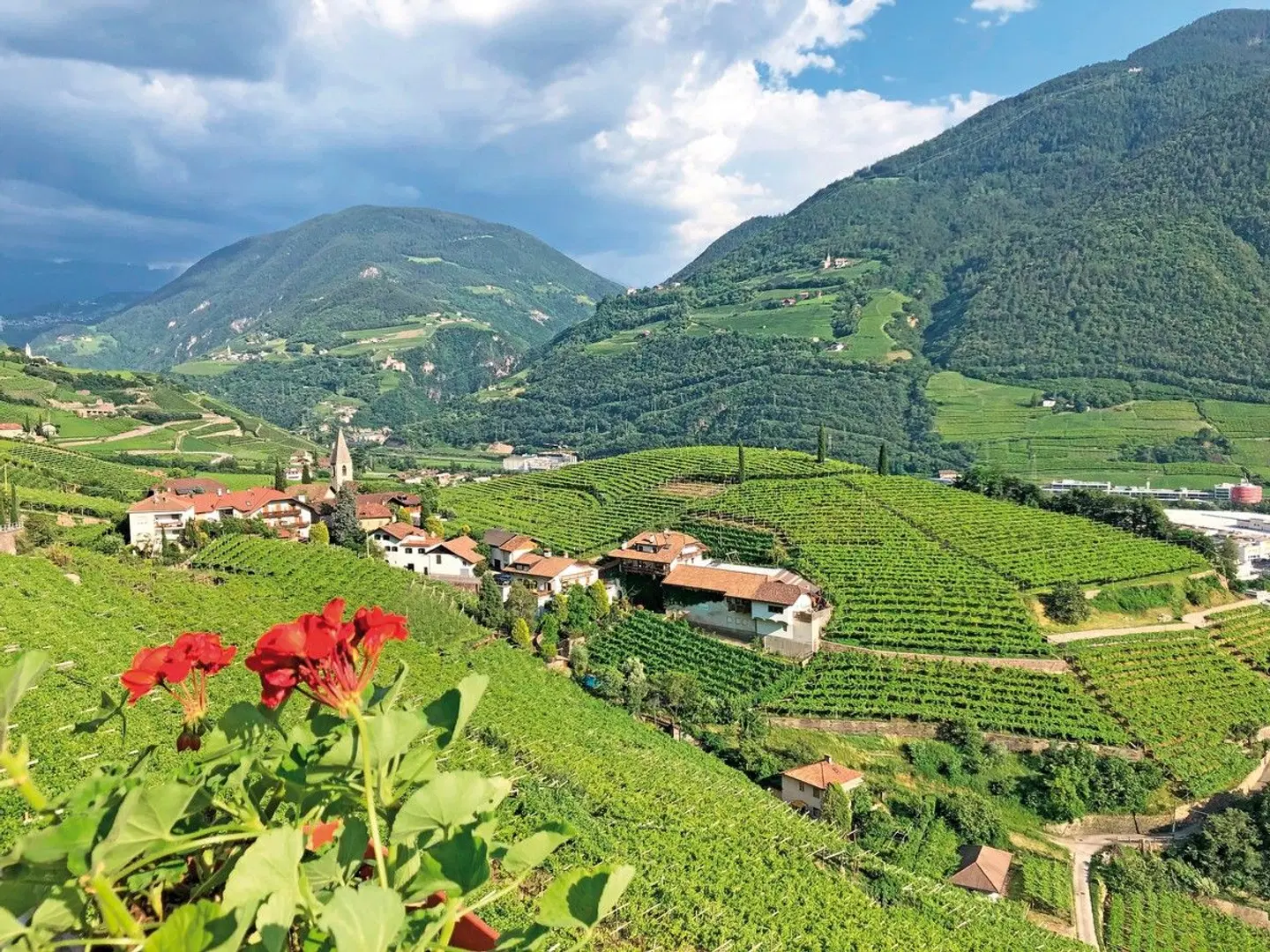 Von Meran zum Gardasee LANDSCAPE