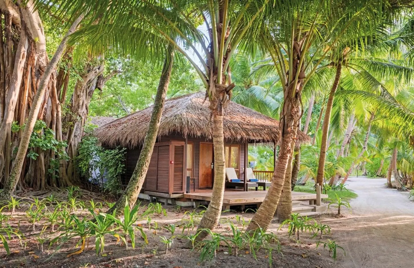 Niva Kuramathi Maldives Garten