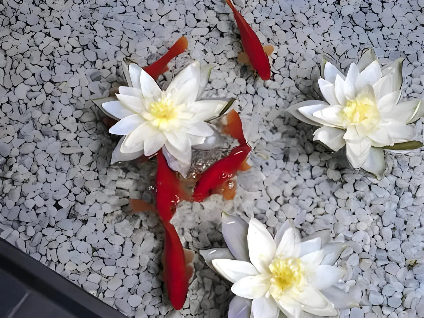 Classik Hotel Antonius LANDSCAPE