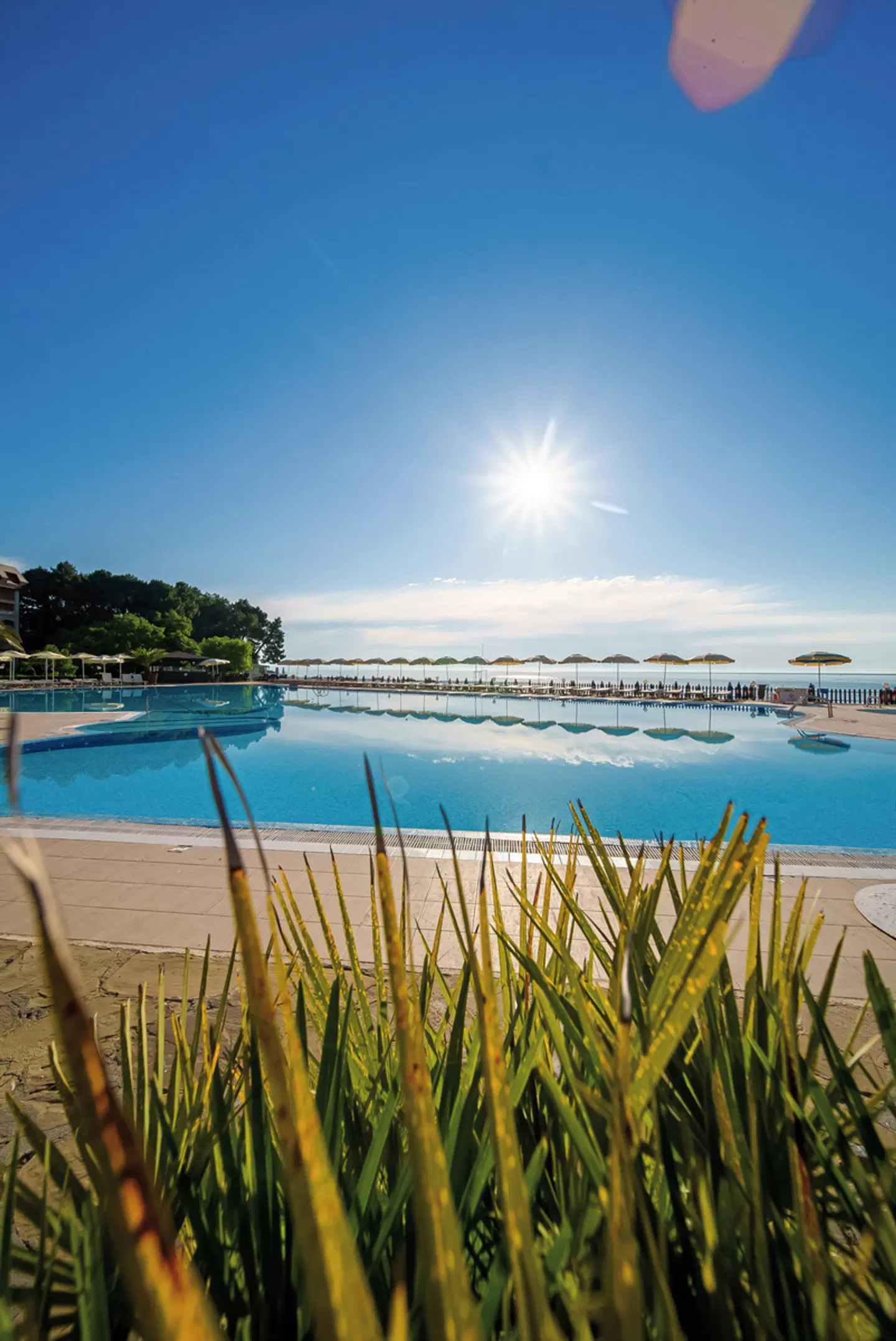 HVD Riviera Beach Hotel OUTDOOR_POOL