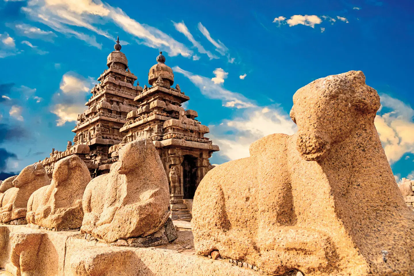 Gandhis grüner Garten (Gruppenreise) Tiere