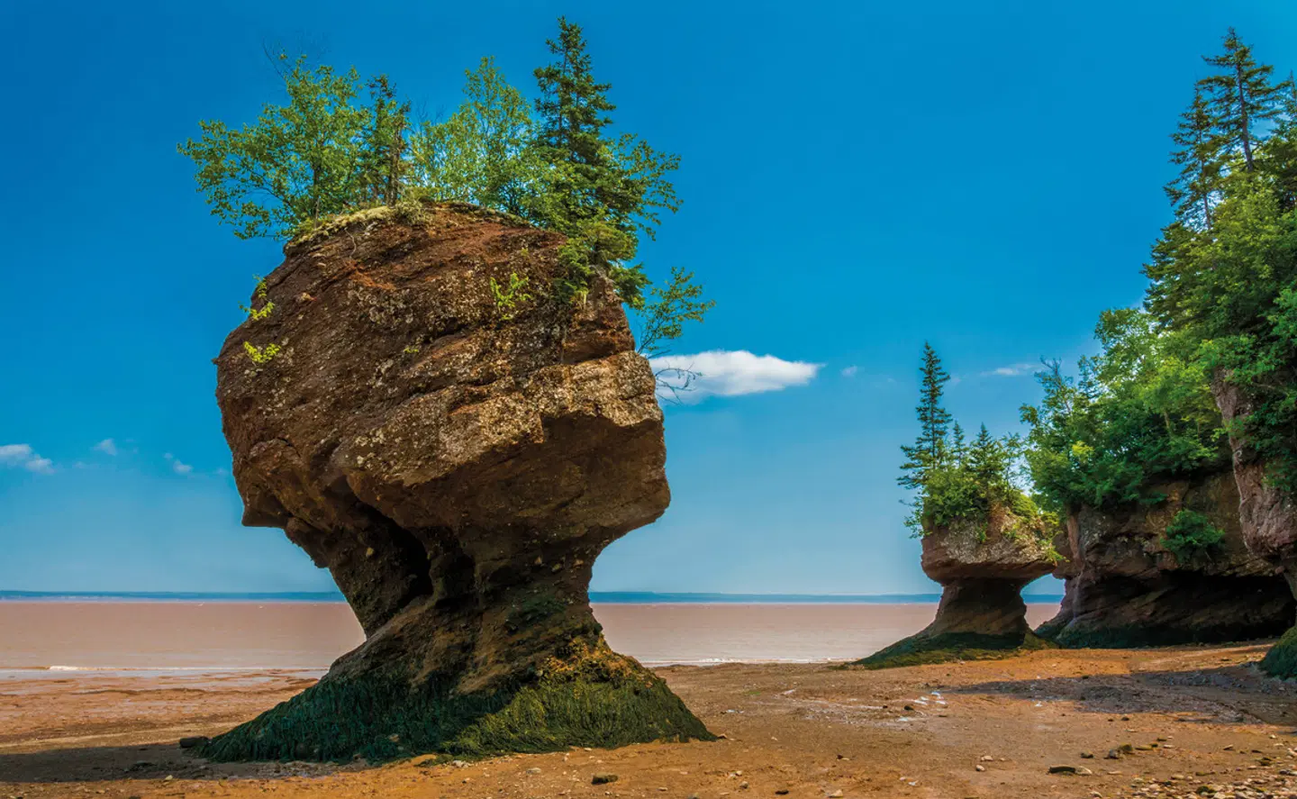 Küstenzauber Atlantik-Kanada (Wohlfühlgruppe) LANDSCAPE
