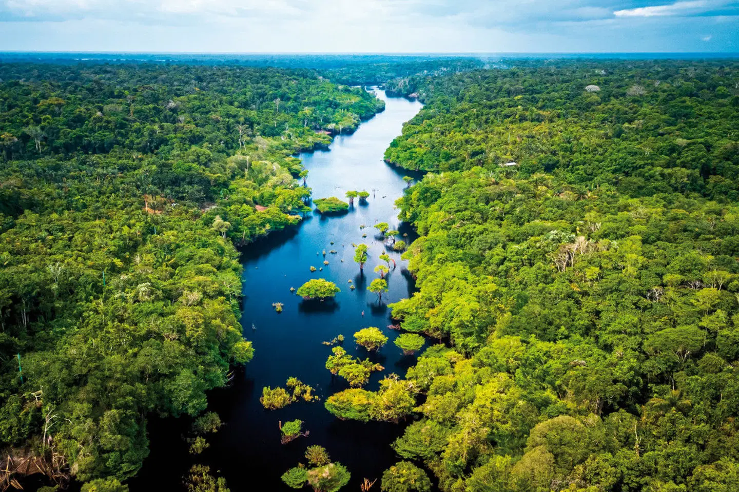 Samba, Goldrausch & Amazonas LANDSCAPE