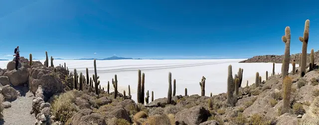 Naturwunder Altiplano & das Erbe der Inka Terrasse