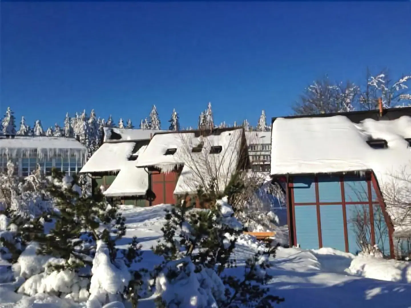 Sporthotel Oberhof Terrasse