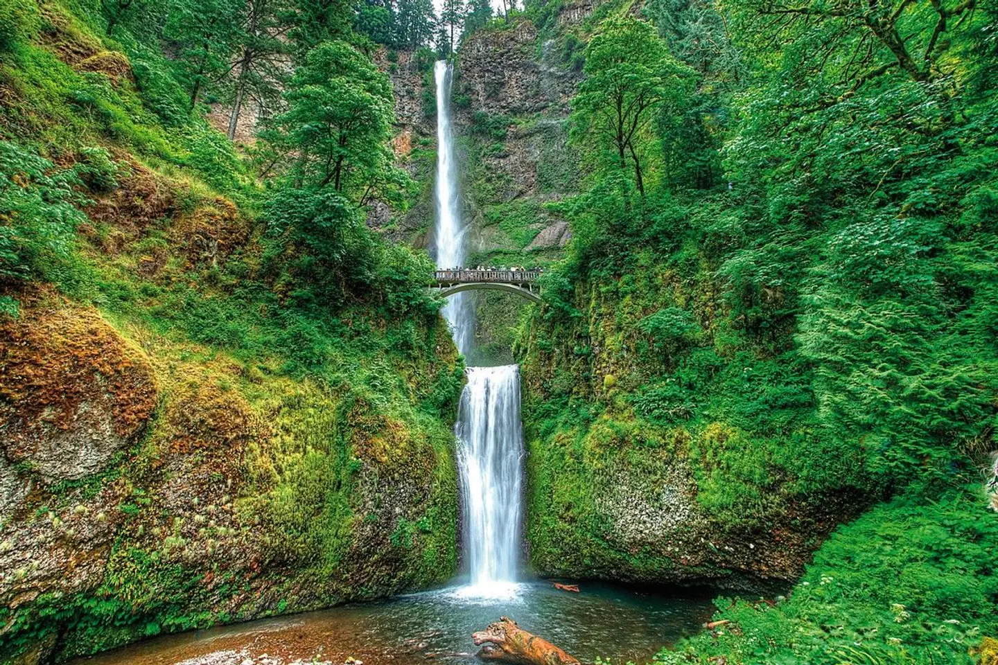 Naturschönheiten der Westküste Garten