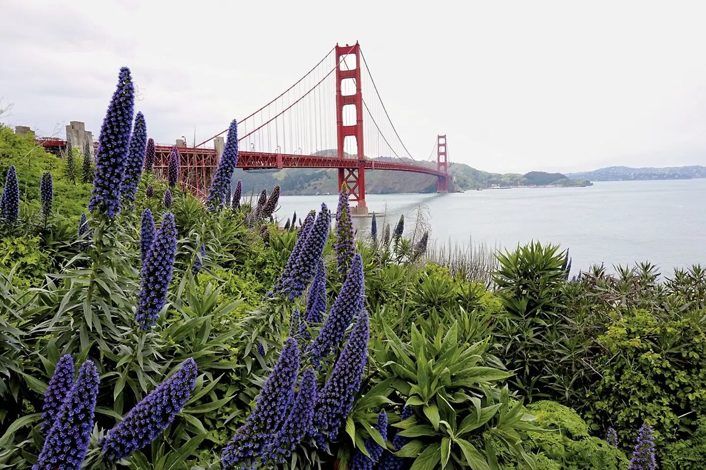 Naturschönheiten der Westküste LANDSCAPE