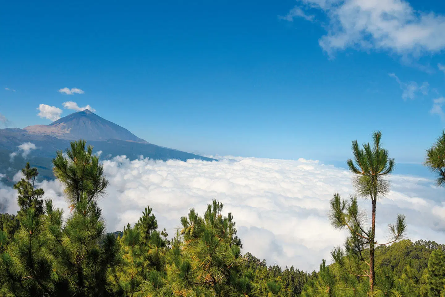 Teneriffas Highlights erwandern LANDSCAPE