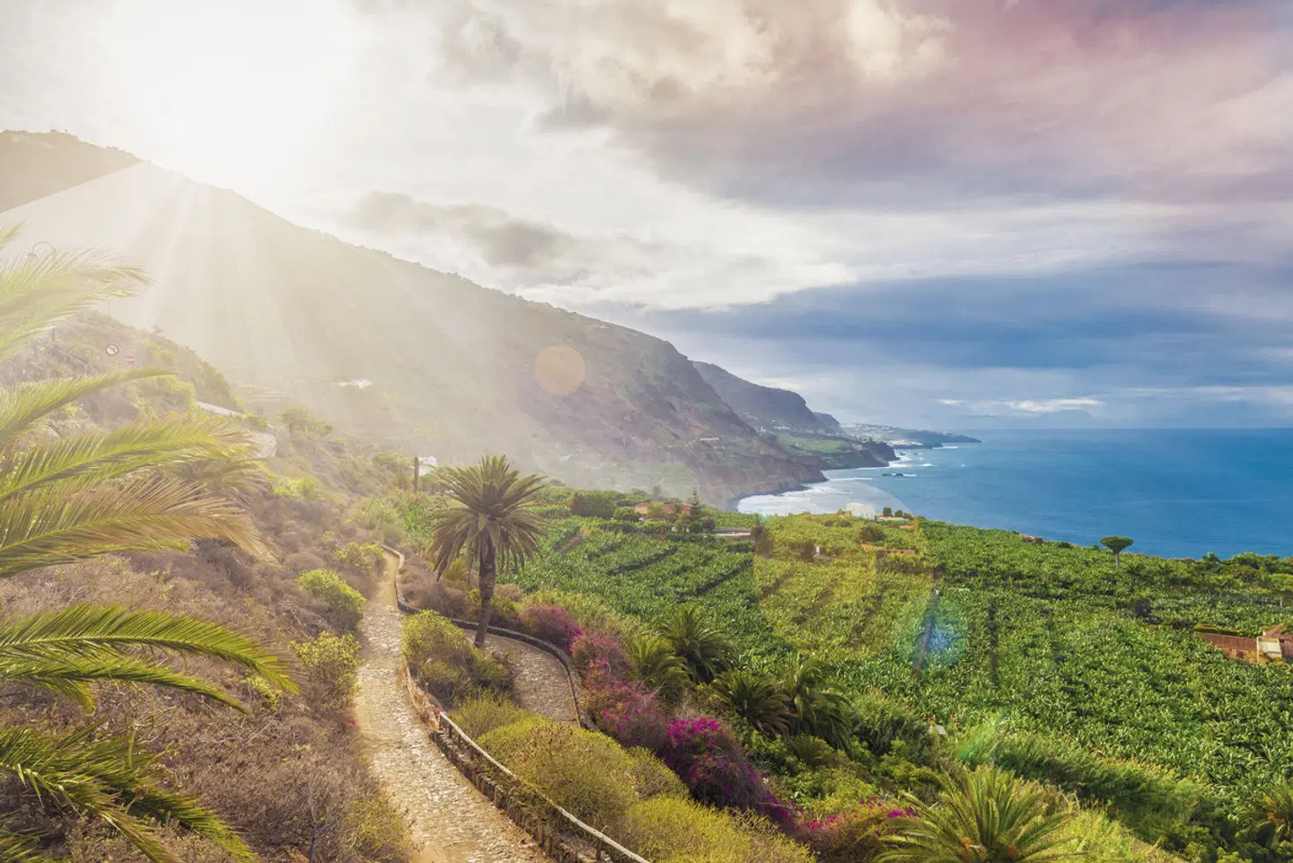 Teneriffas Highlights erwandern LANDSCAPE