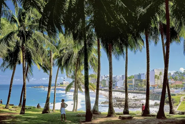 Höhepunkte Brasiliens Garten