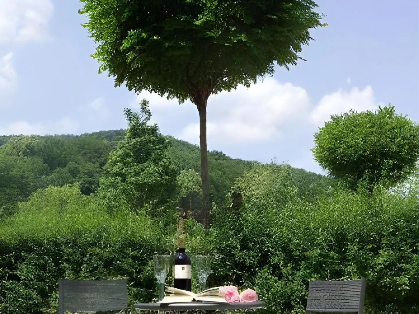 Pension Nordland LANDSCAPE