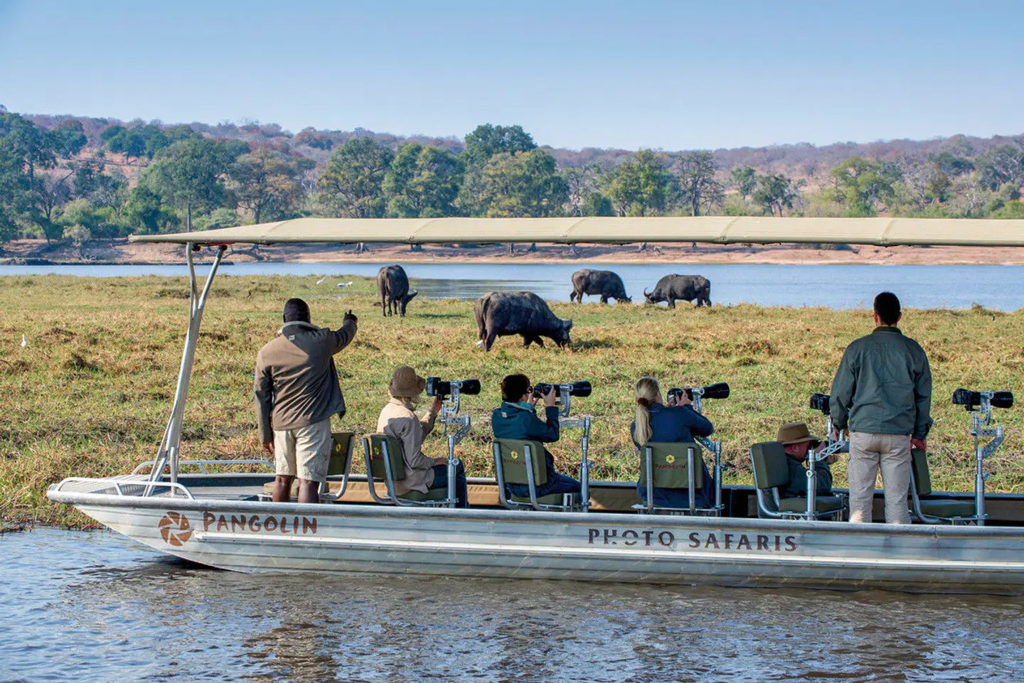 Tiererlebnis mit andBeyond Botswana Tiere