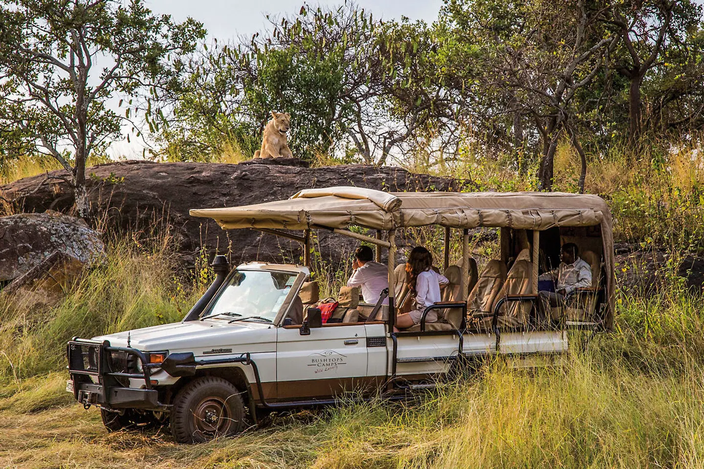 Bushtops Hopping in Kenia und Tansania Garten