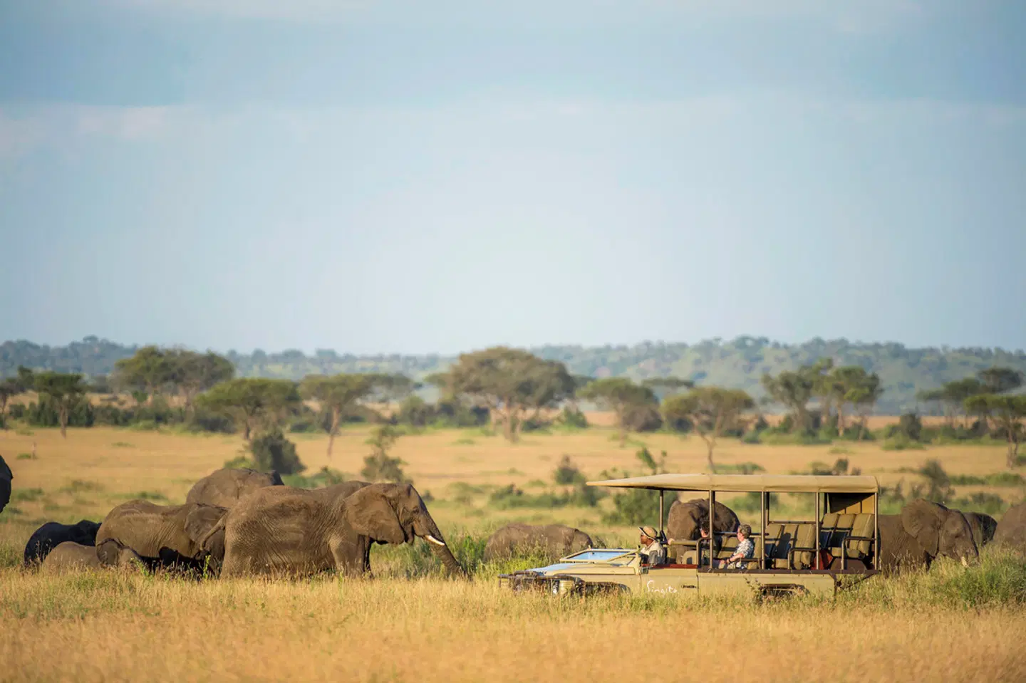Tansania und Ruanda vom Feinsten Tiere