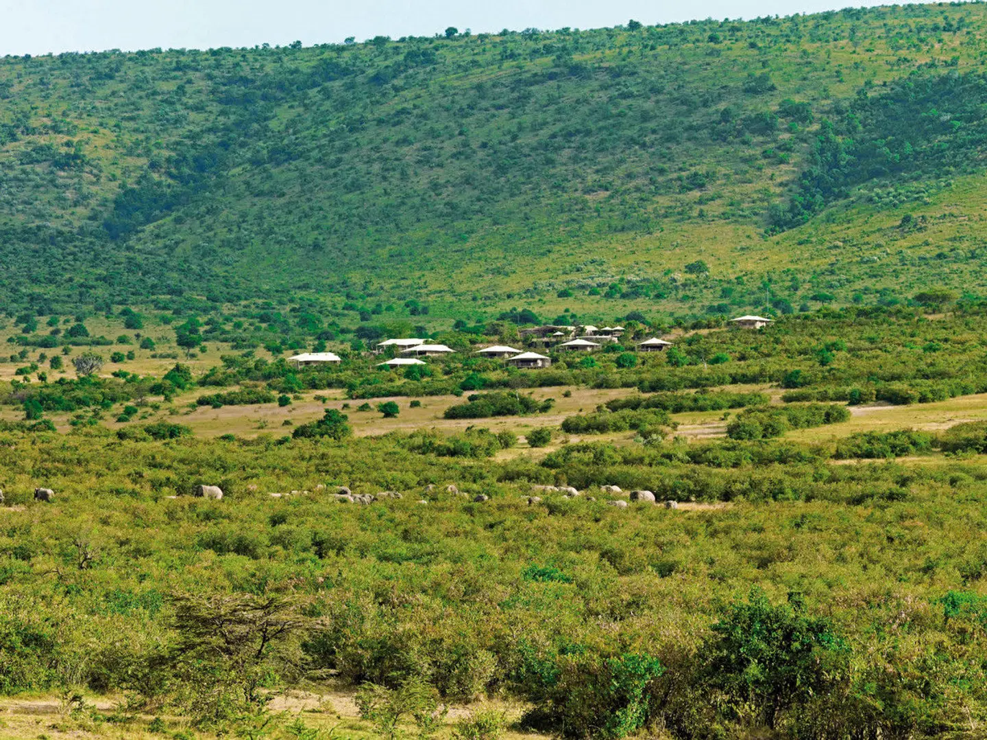 Bushtops Hopping in Kenia und Tansania LANDSCAPE