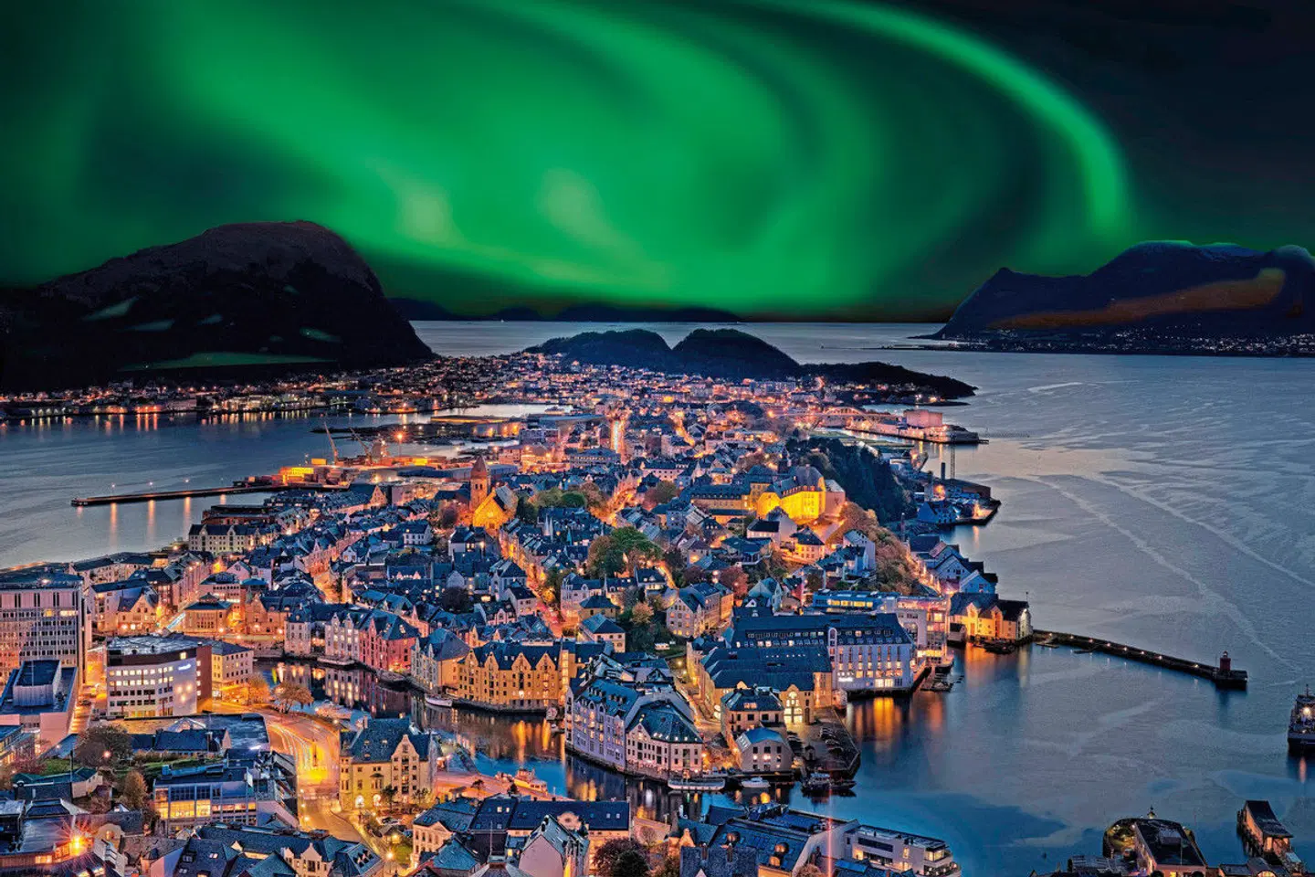 Havila Voyages Bergen-Kirkenes-Bergen Tiere