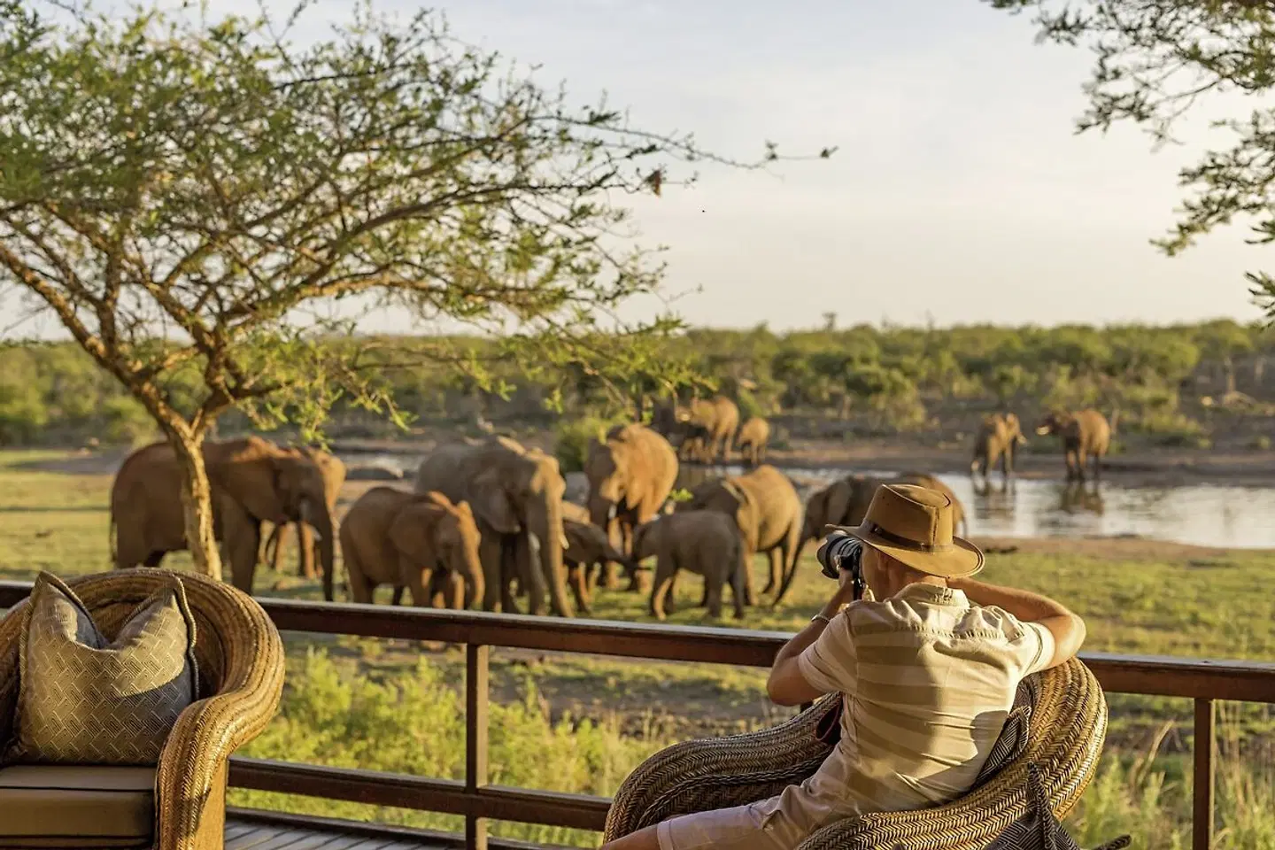 Auf Familiensafari in Südafrika mit More Hotels Tiere
