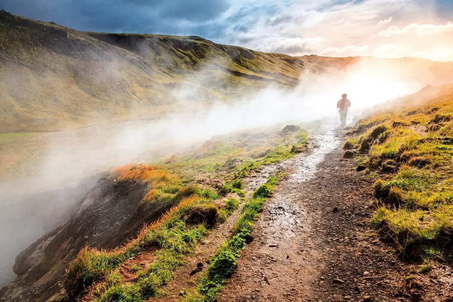 Islands Sommer entspannt genießen LANDSCAPE