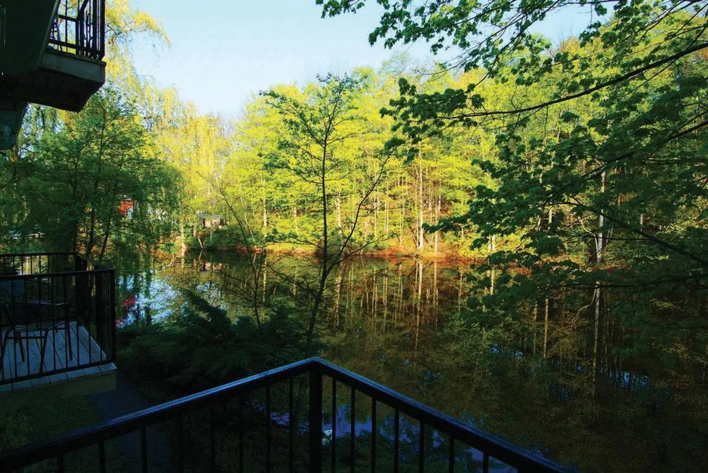 Benmiller Inn & Spa LANDSCAPE