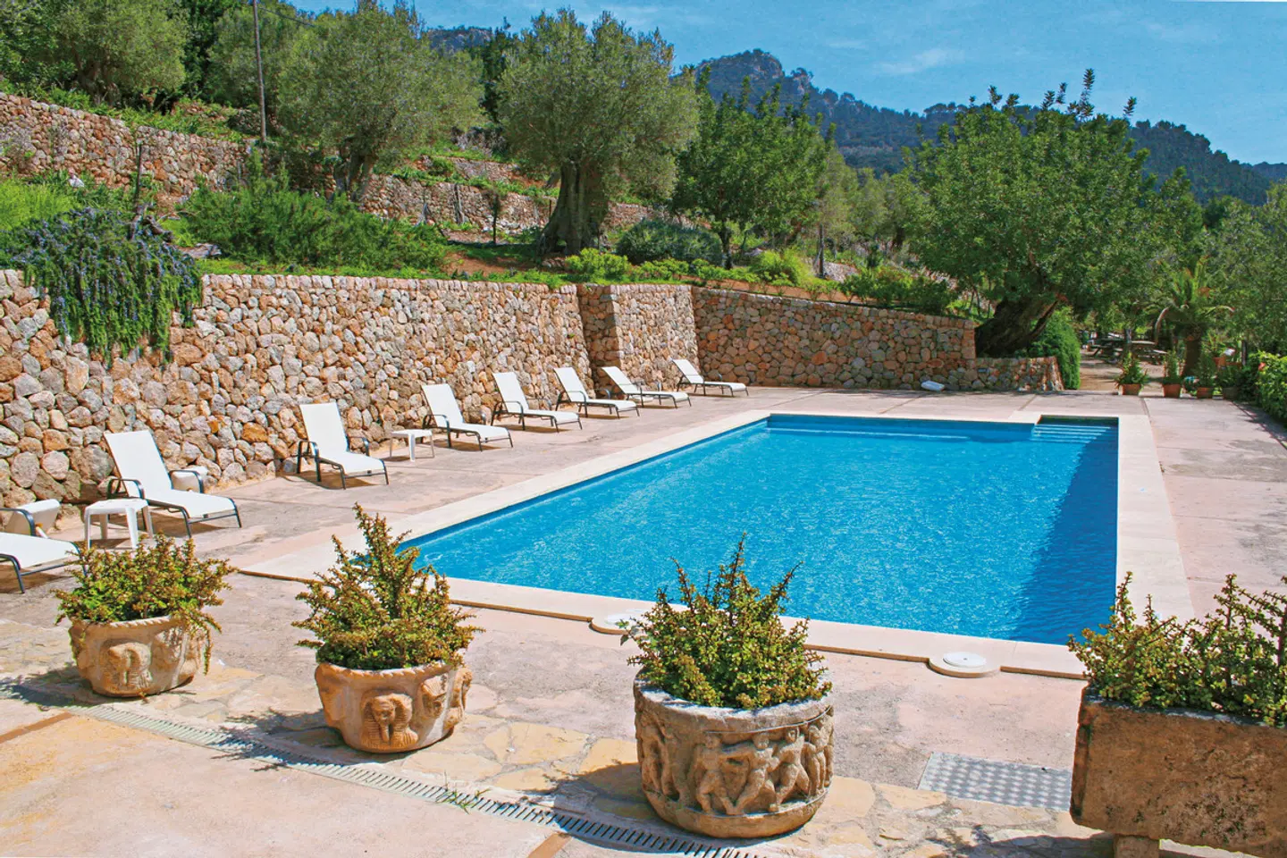 Finca Agroturismo Alfabia Nou OUTDOOR_POOL