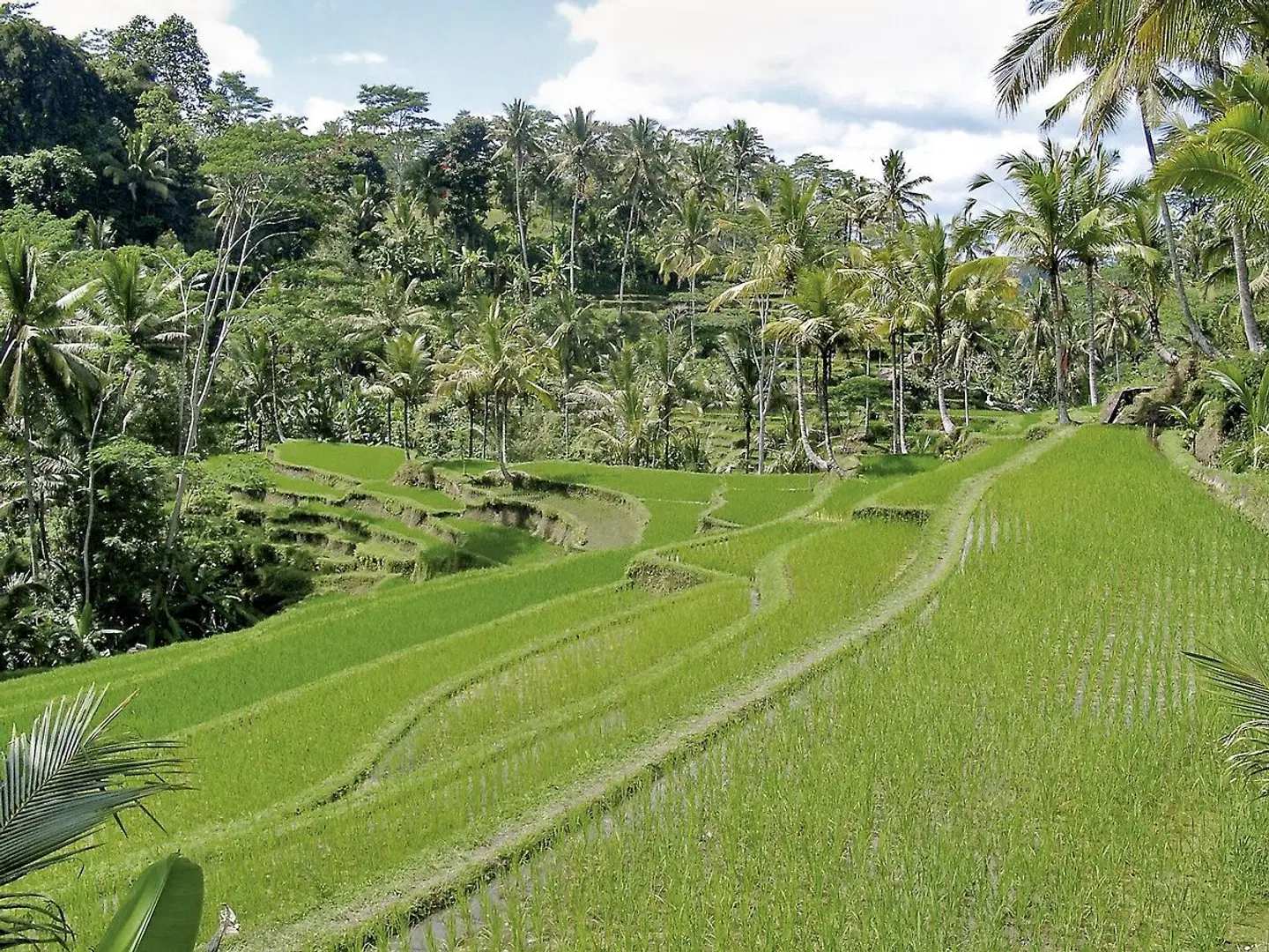 Bali exklusiv SPORTS_AND_LEISURE