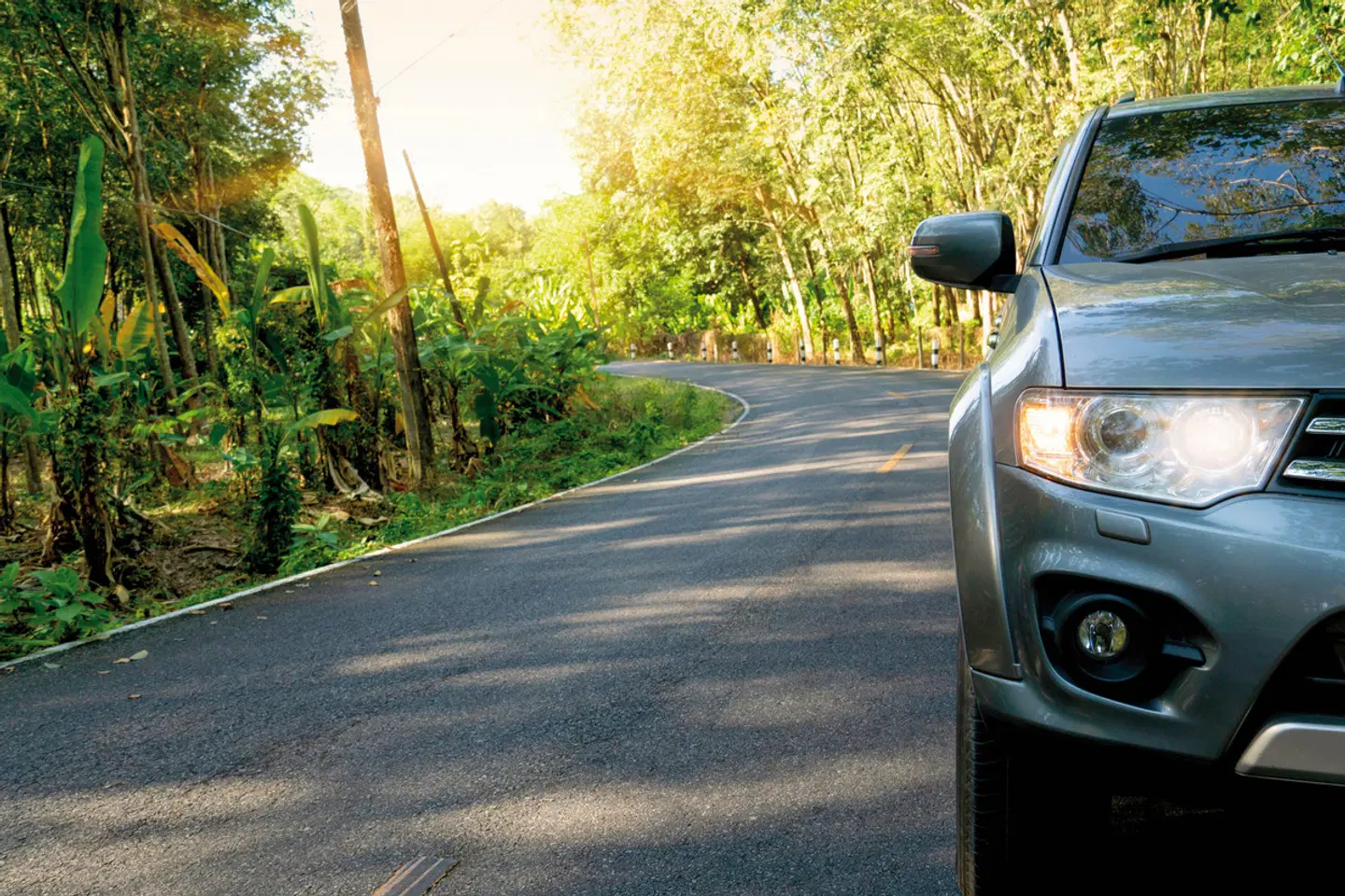 Auf in den Süden (Autoreise) Garten