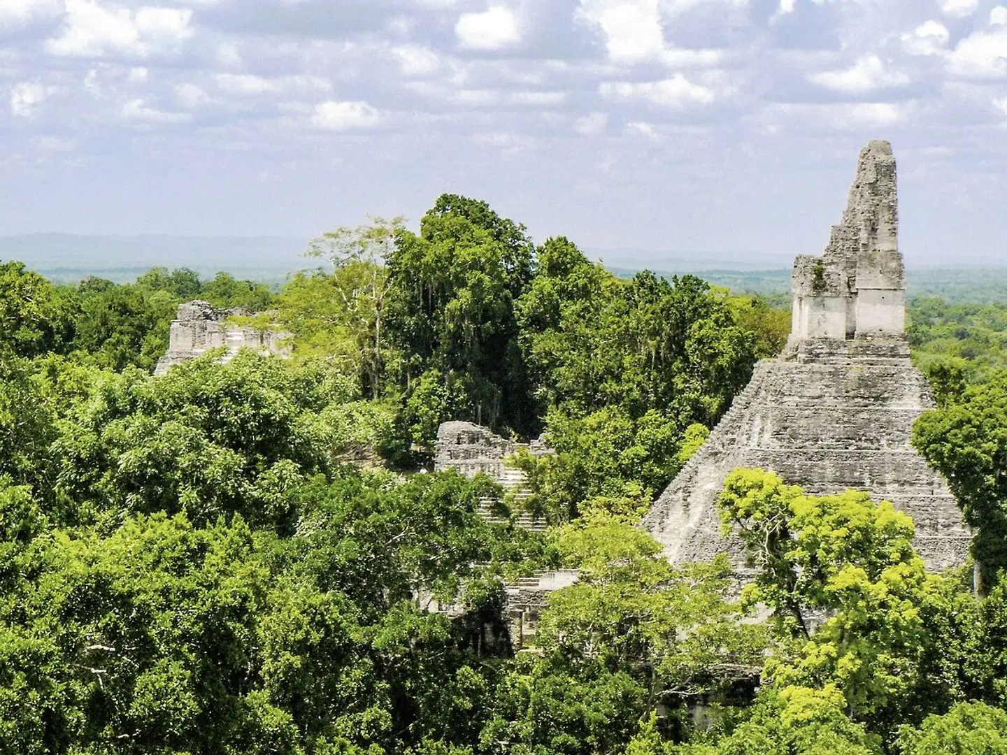 Best of Belize LANDSCAPE