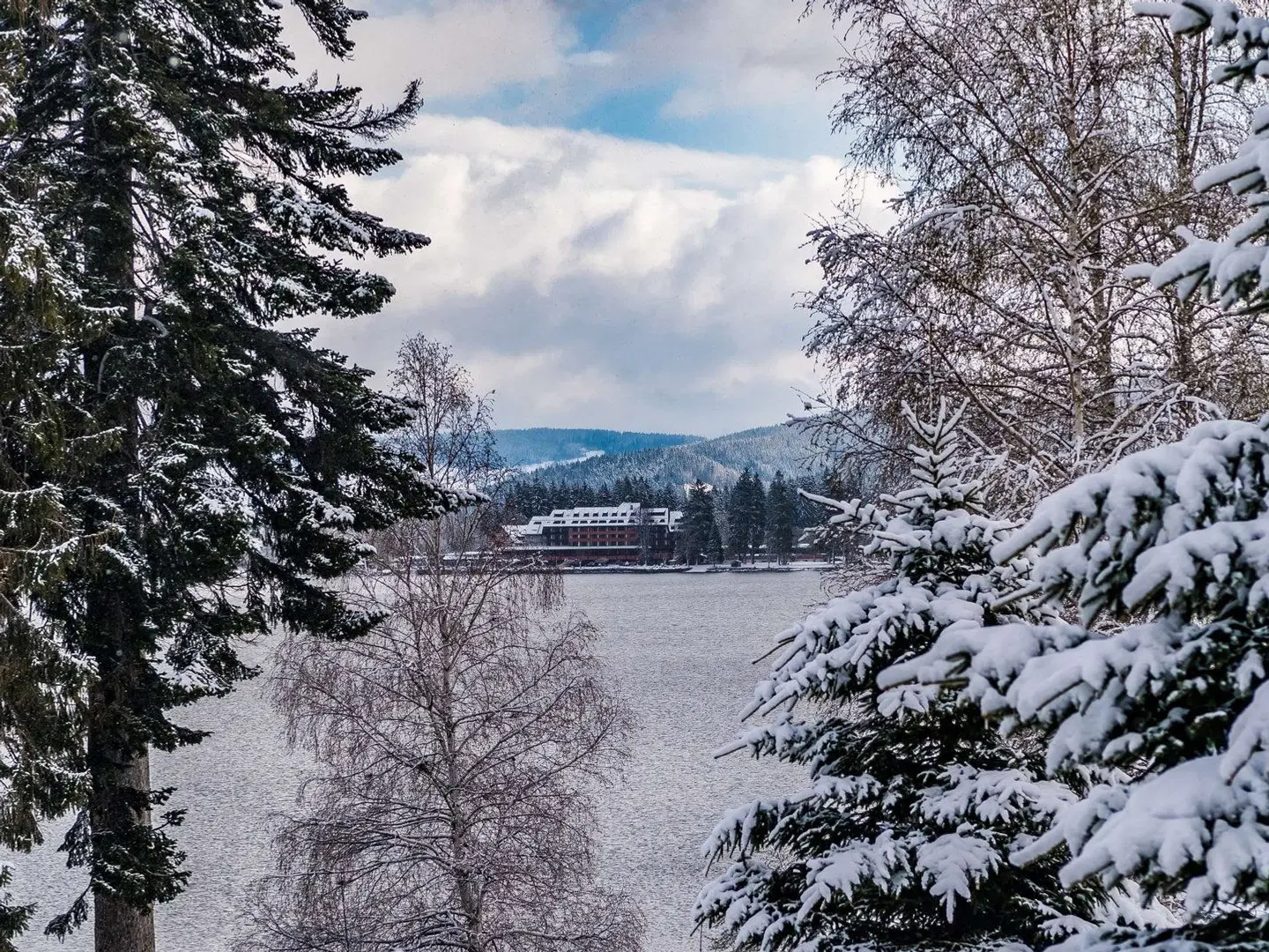 Maritim TitiseeHotel Titisee-Neustadt LANDSCAPE