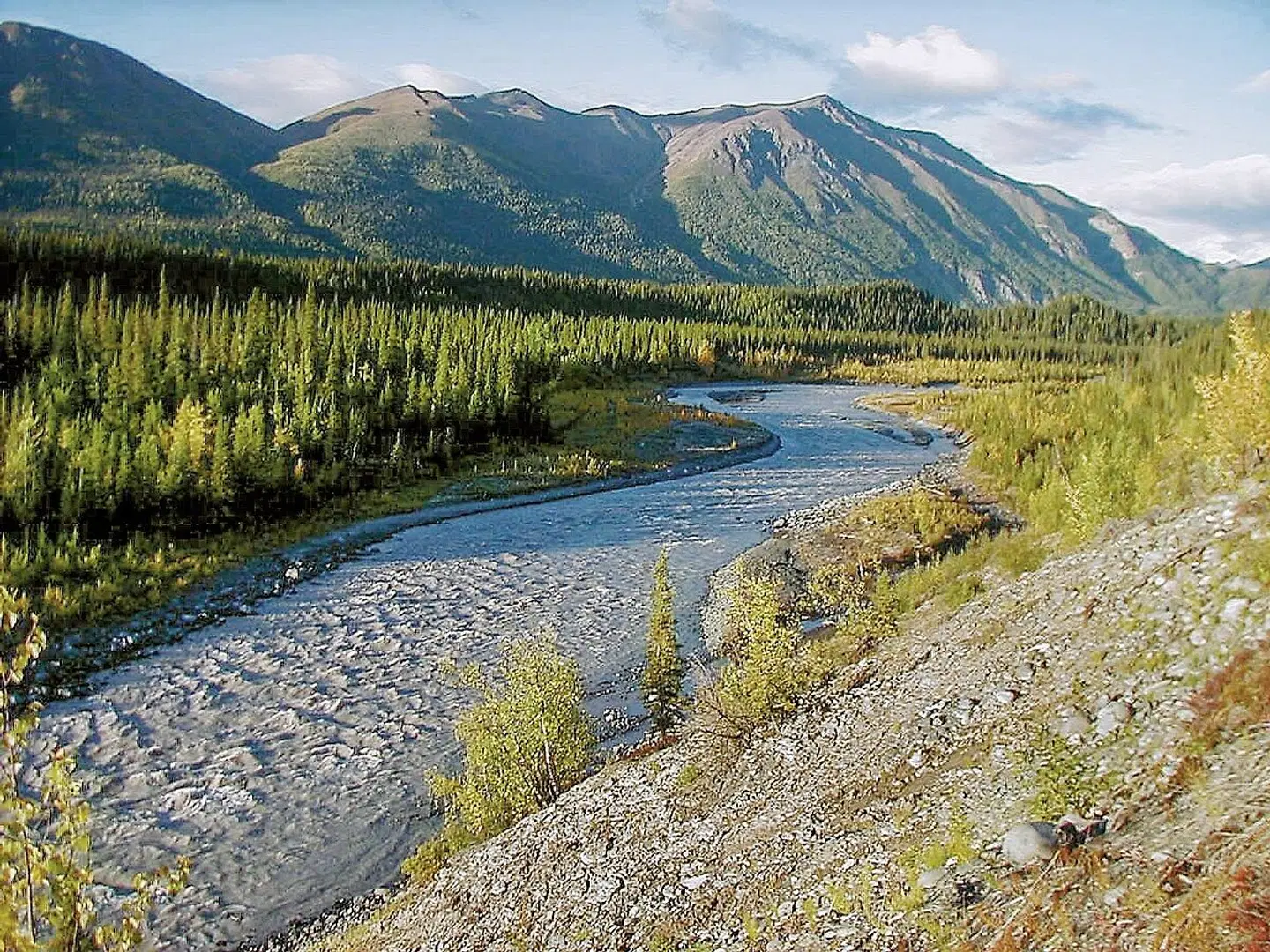 Alaska Intensiv LANDSCAPE