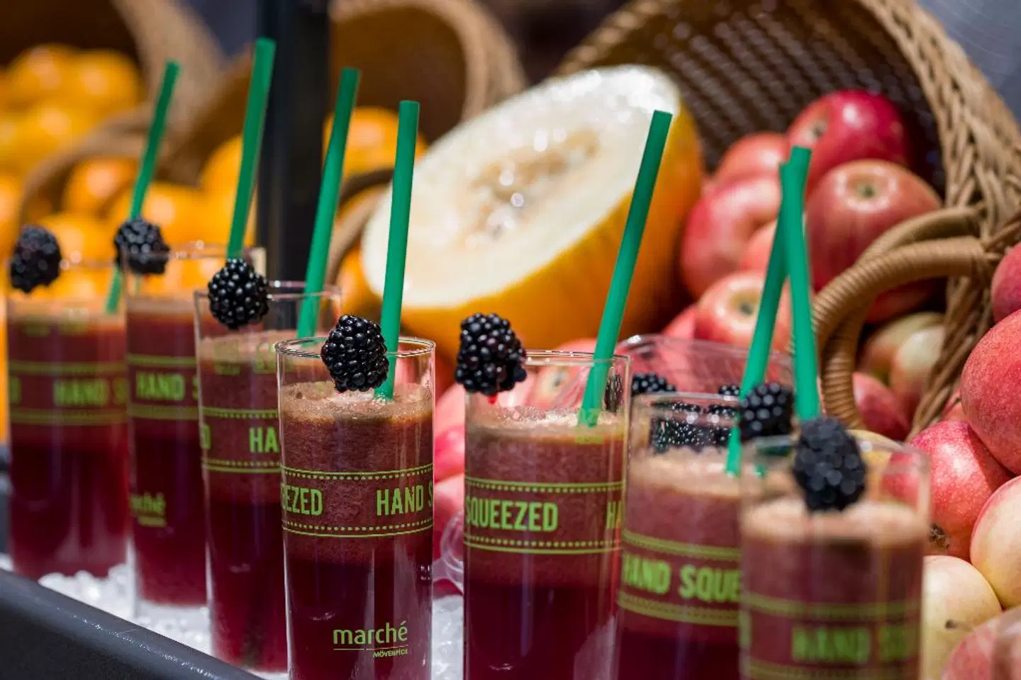 ibis Woerthersee Tiere