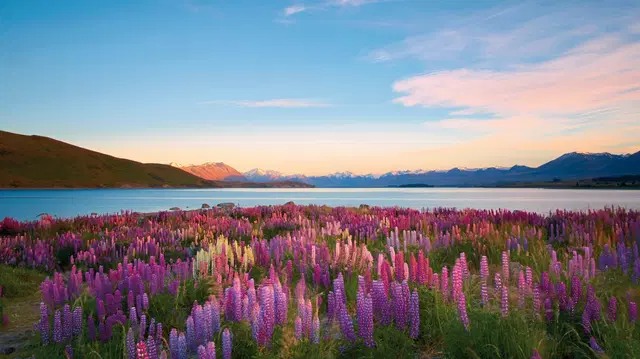 Große Neuseeland Rundreise (14 Tage/13 Nächte) LANDSCAPE