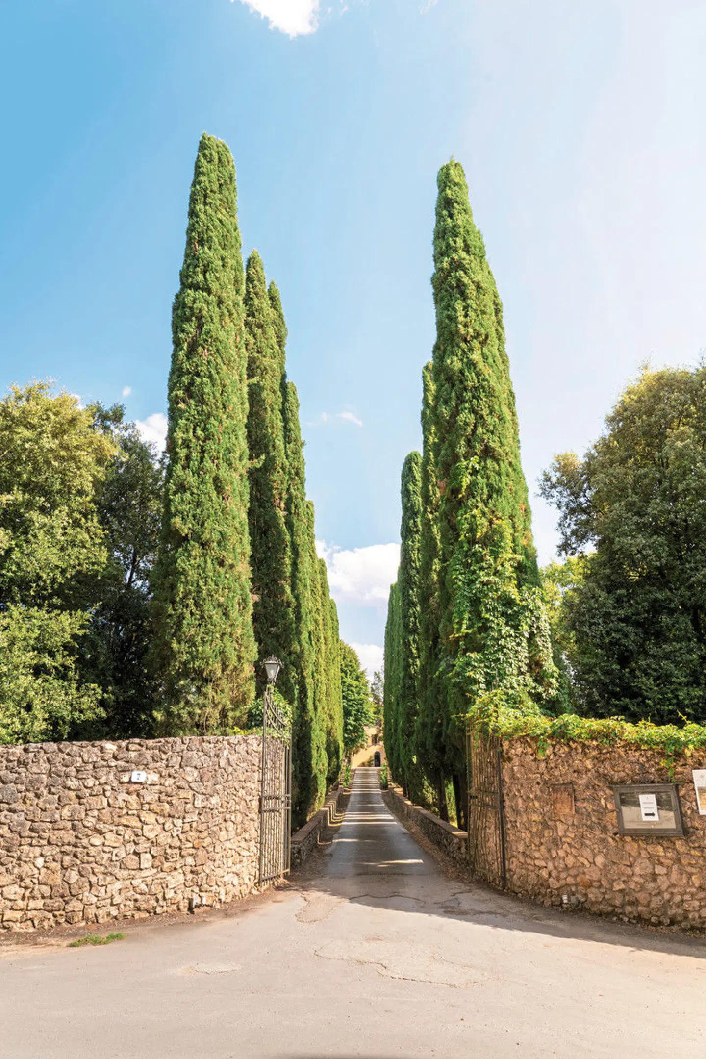 Borgo San Luigi LANDSCAPE
