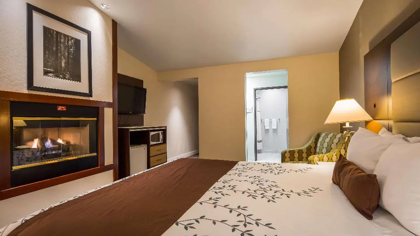 Best Western PLUS Forest Park Inn ROOM_EXAMPLE