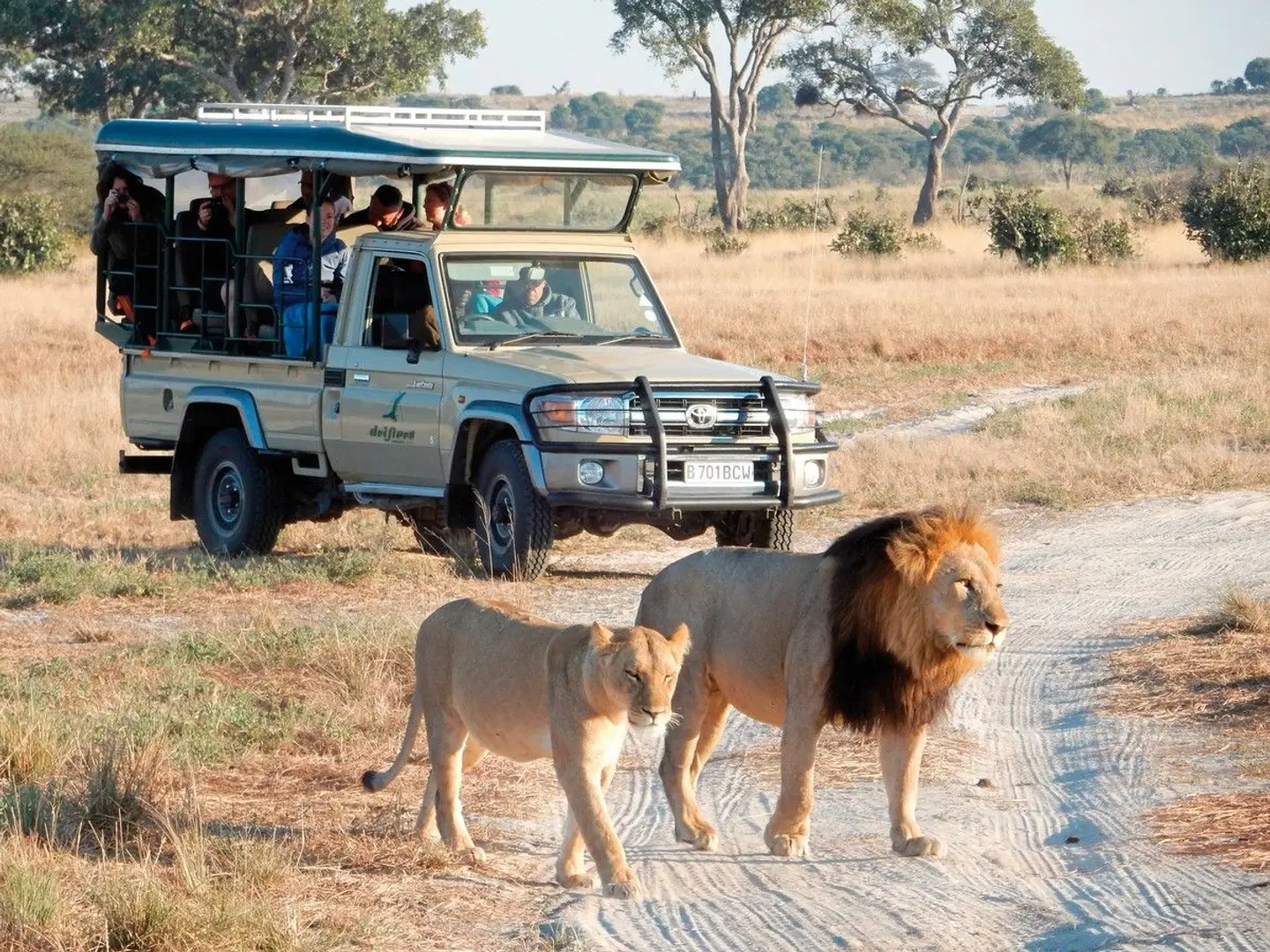 Drifters - Southern Africa Explorer Kapstadt - Johannesburg Tiere