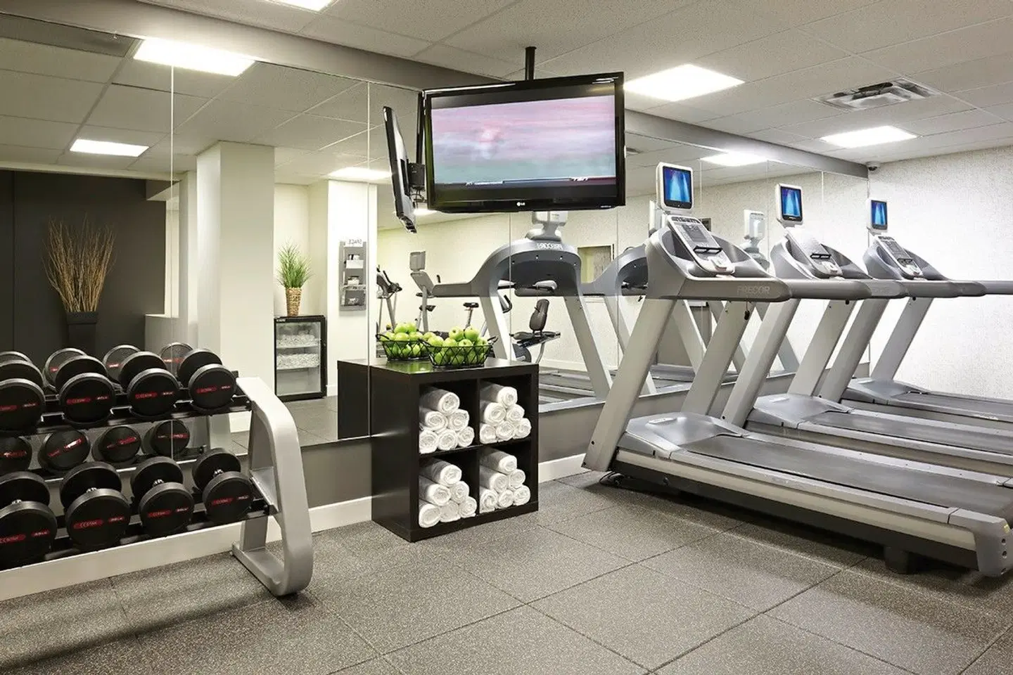 Delta Hotels by Marriott Ottawa City Centre SPORTS_AND_LEISURE