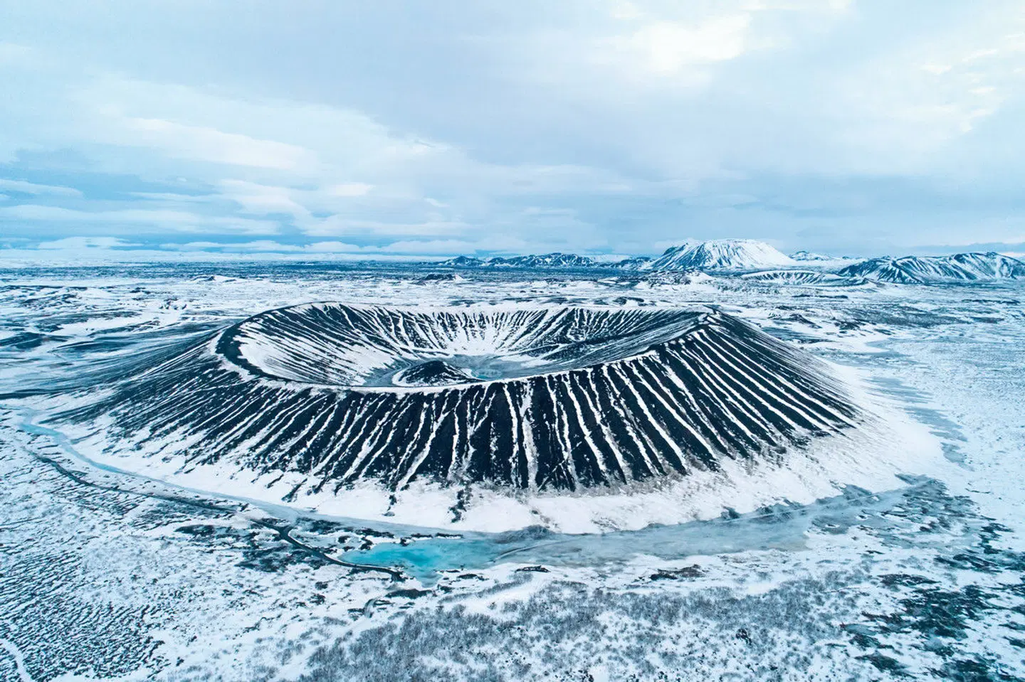 Erlebnis Island - Gletscher, Eishöhlen und Polarlichter Tiere