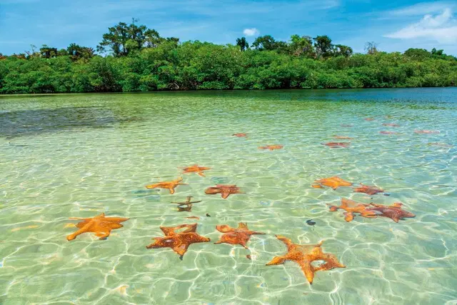 Panama auf eigene Faust inkl. Anschluss Bocas del Toro SPORTS_AND_LEISURE