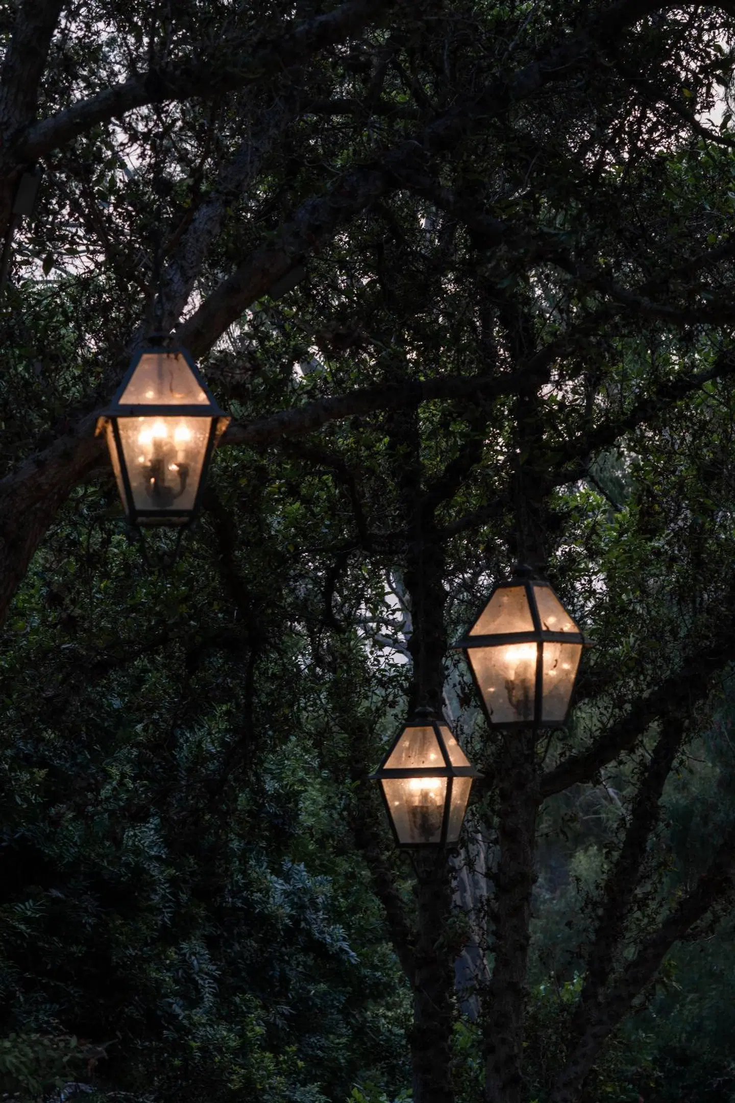 Rancho Bernardo Inn Garten