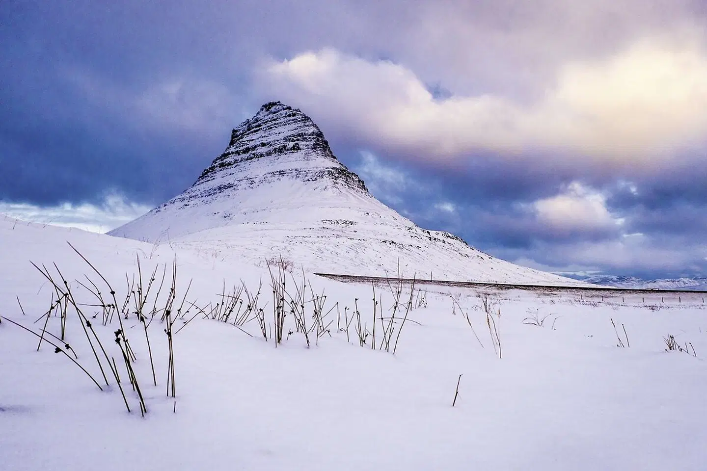Stippvisite Westisland Tiere