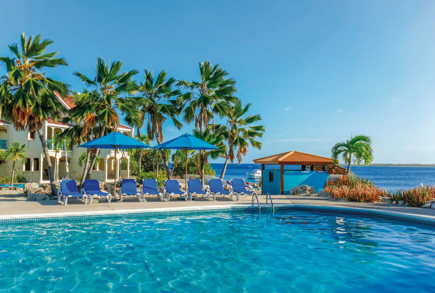 Captain Don's Habitat OUTDOOR_POOL