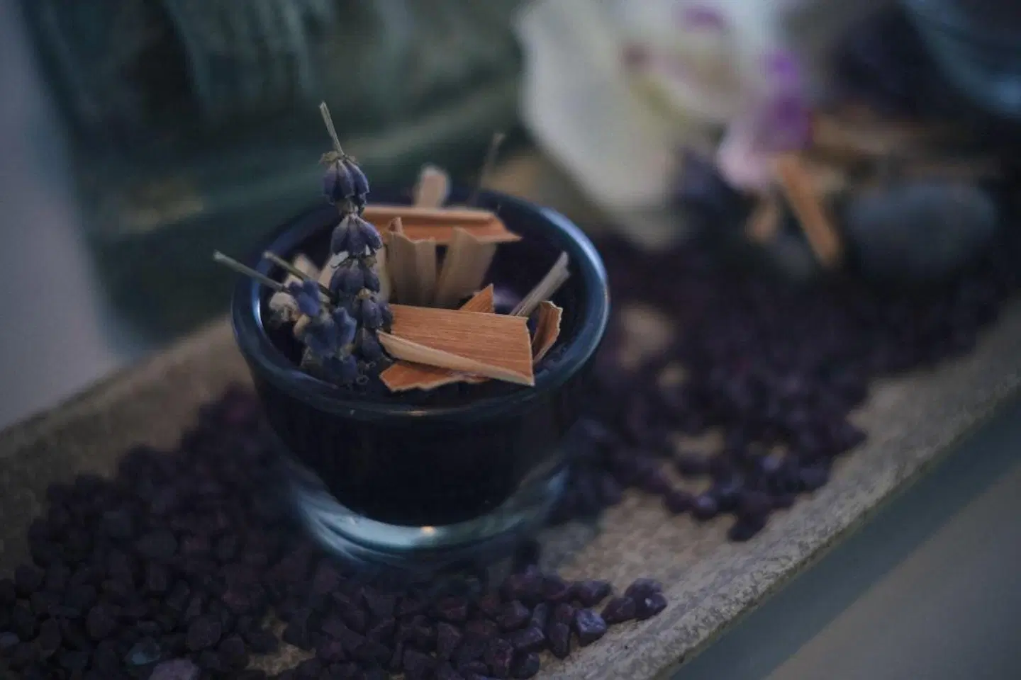 Vienna House Andels Tiere