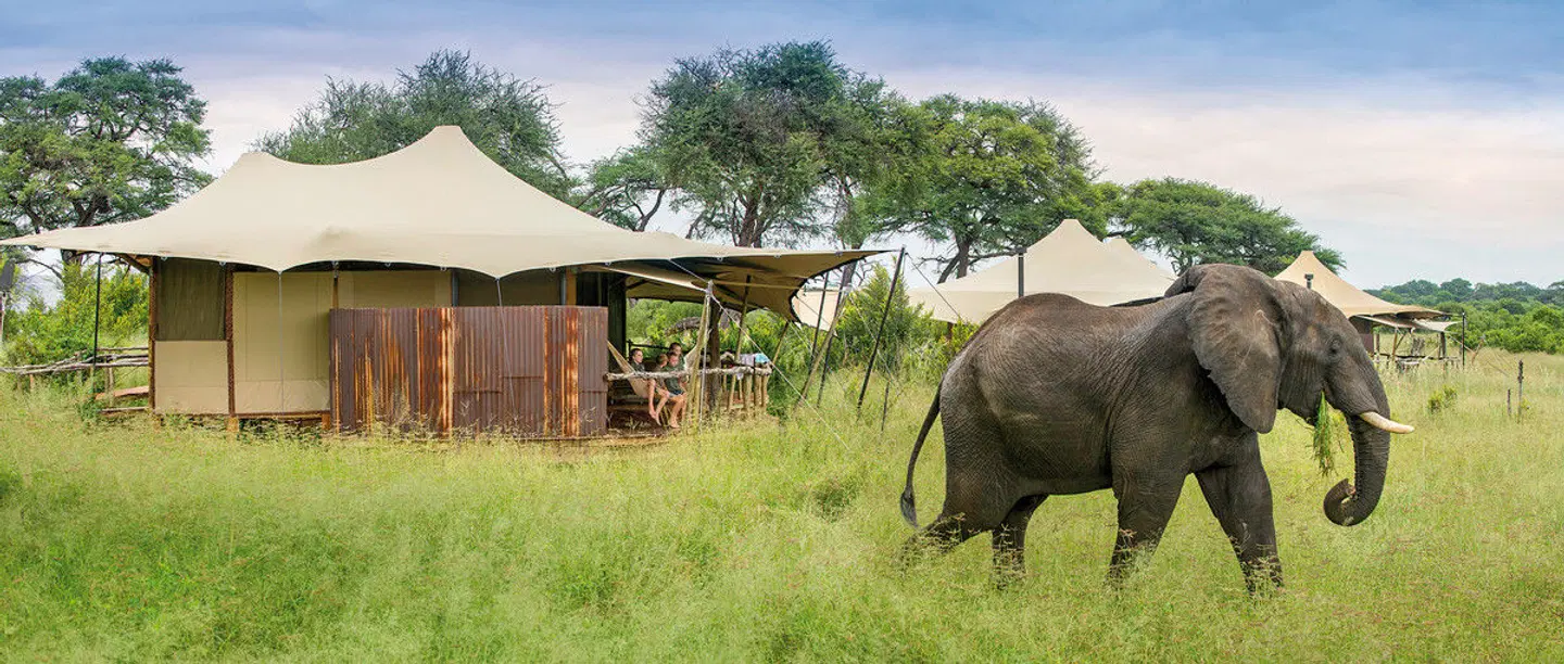 Simbabwe und Sambia für Genießer Tiere