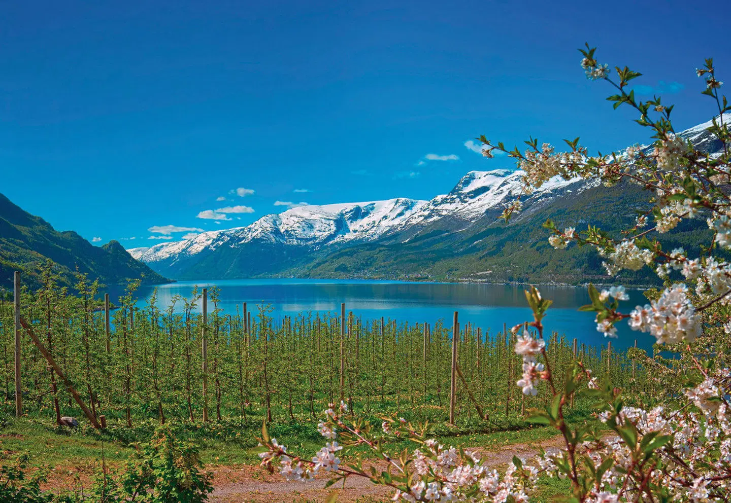 Imposantes Fjordland LANDSCAPE