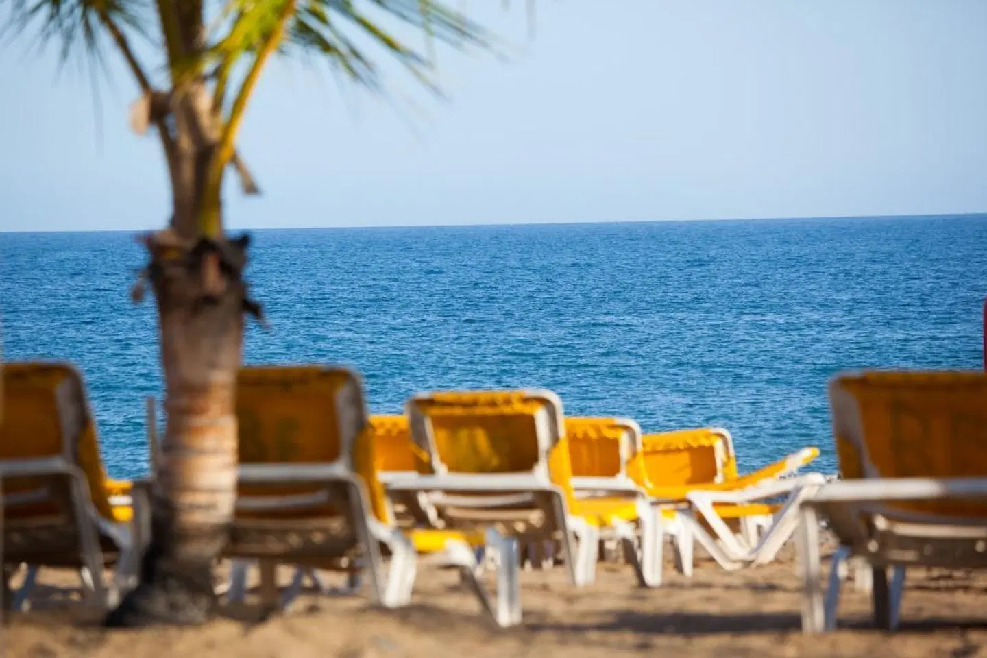 TUI BLUE Las Pitas Strand